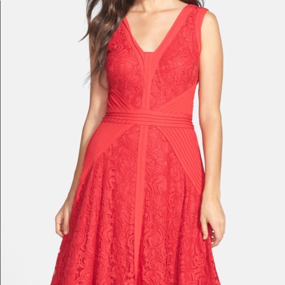 Tadashi Shoji Lace area Dress